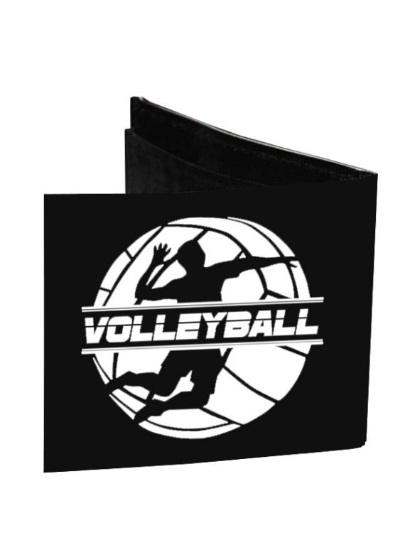 Volleyball-4.jpg